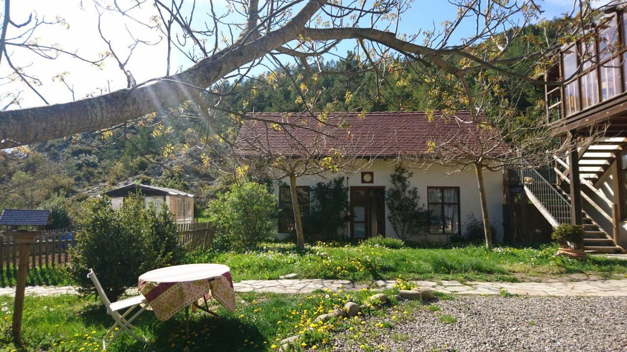 Casa Turreta Apartment Anso Bagian luar foto